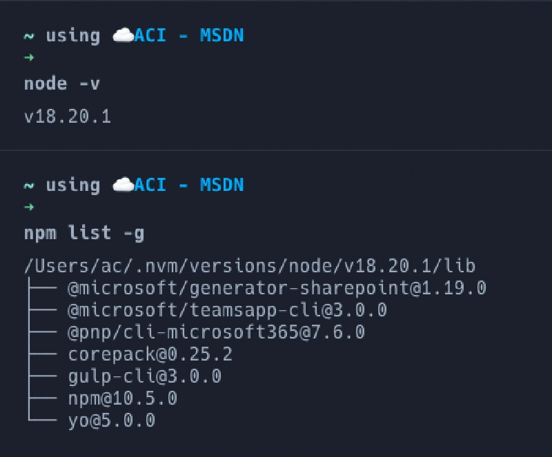 List of globally installed packages