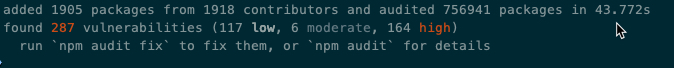 NPM displaying list of vulnerabilities NPM displaying list of vulnerabilities