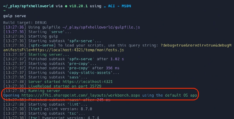 Output from gulp serve when the env var is set