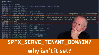 Setting the SharePoint Framework Hosted Workbench Test Site Setting the SharePoint Framework Hosted Workbench Test Site