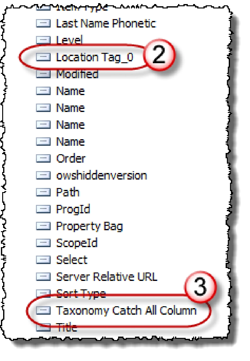 Taxonomy Catch All Column