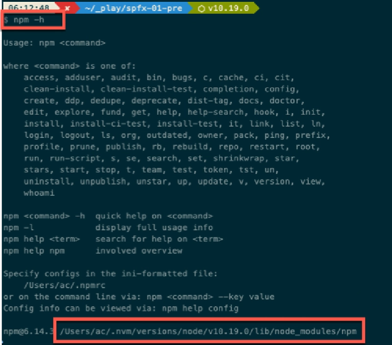 Output from running **npm -h** on MacOS with an NVM-managed Node.js v10.19.0 installation